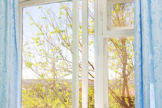 Jeld-Wen double-hung windows prices and an overview