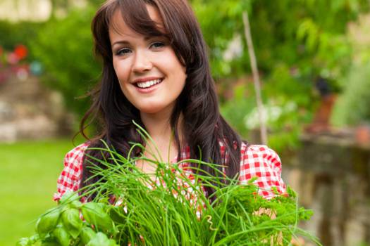 7 Herbs to Plant in Your Garden That Don't Require Much Work