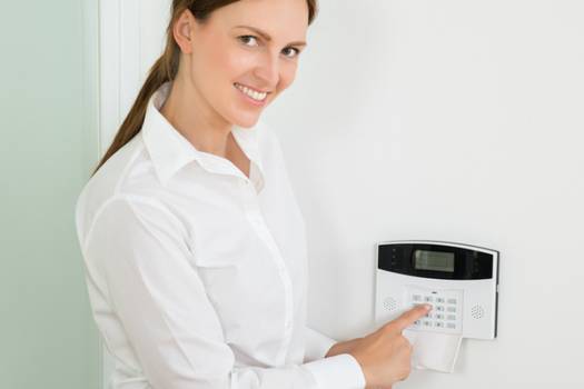 Ackerman home security systems in Atlanta and DC: the pros and costs