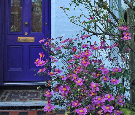 When looking to upgrade, it's important to consider a wide range of potential front door paint colors.