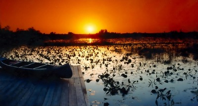 Different types of air conditioners keep you cool. "Okefenokee Swamp" by .Vincent on Flickr.