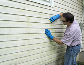 Siding Contractor