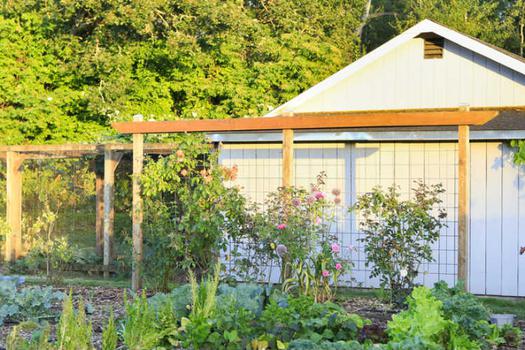Prefabricated vinyl outdoor storage buildings comparison: Duramax vs Lifetime Products