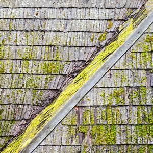 Asphalt-shingle-roofing-algae-resistance-2