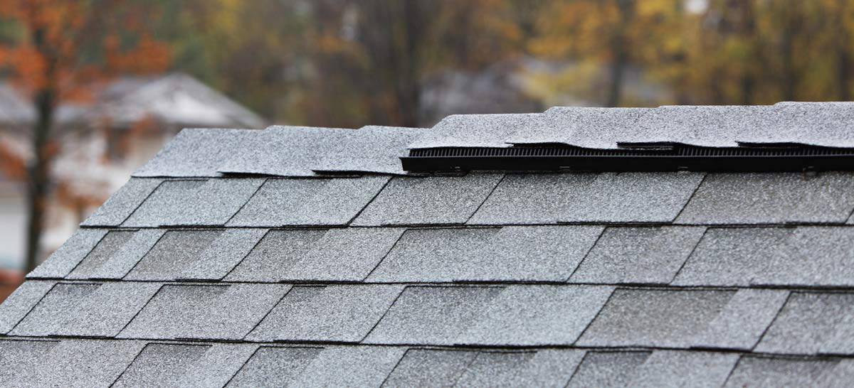 IKO-vs-Malarkey-asphalt-roofing-shingles