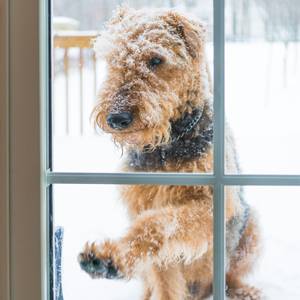 Scratch-Proofing-Your-Glass-Doors-2