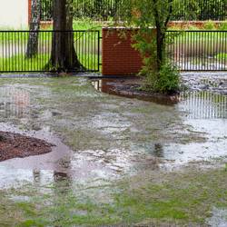 Tips-on-How-to-Repair-Prevent-Flooded-Lawns-2