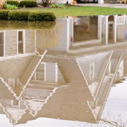 Tips-on-How-to-Repair-Prevent-Flooded-Lawns-3