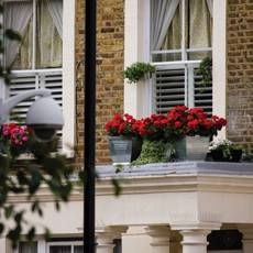 apartment-window