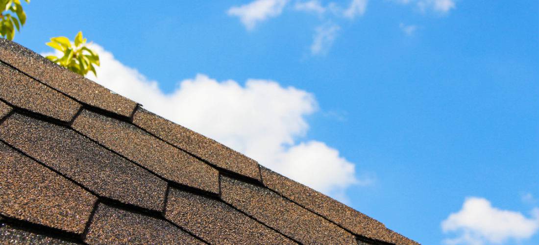 asphalt shingles