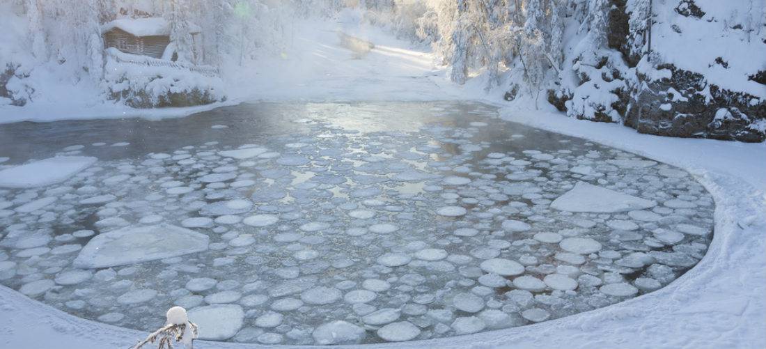 home pond