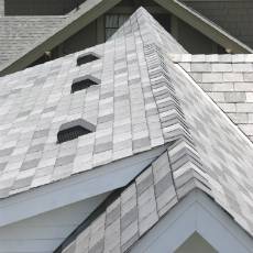 roof shingle