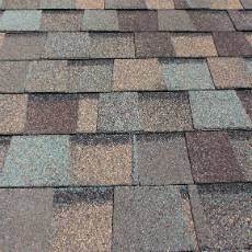 shingle roof