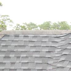 shingle roof