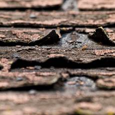 tattered-asphalt-shingles